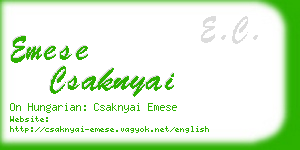 emese csaknyai business card